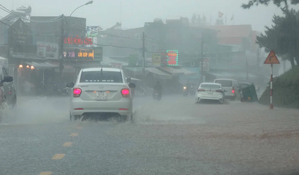 Đà Lạt: Mưa lớn khiến nhiều cây đổ, sạt lở đất gây ách tắc đèo Prenn ảnh 3