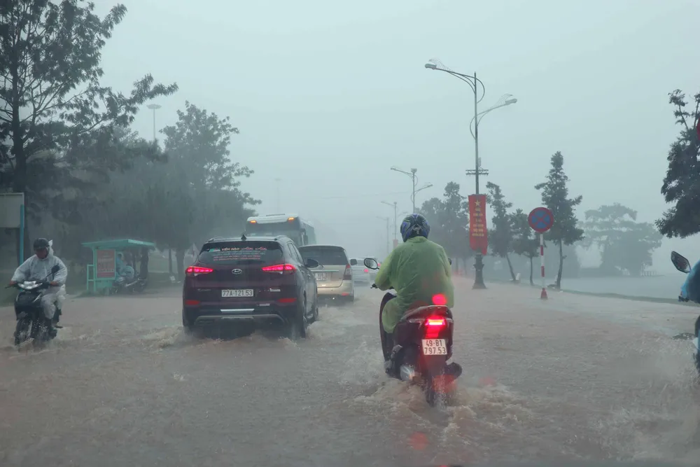 Đà Lạt: Mưa lớn khiến nhiều cây đổ, sạt lở đất gây ách tắc đèo Prenn ảnh 4