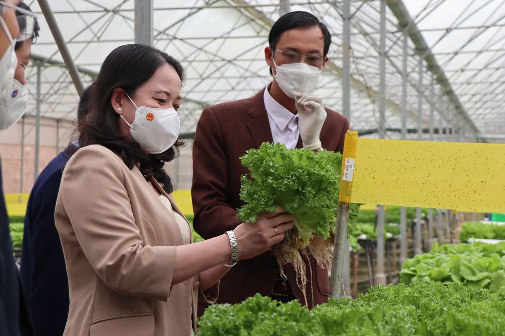 Phó Chủ tịch nước Võ Thị Ánh Xuân thăm, tặng quà gia đình chính sách tại Lâm Đồng ảnh 2