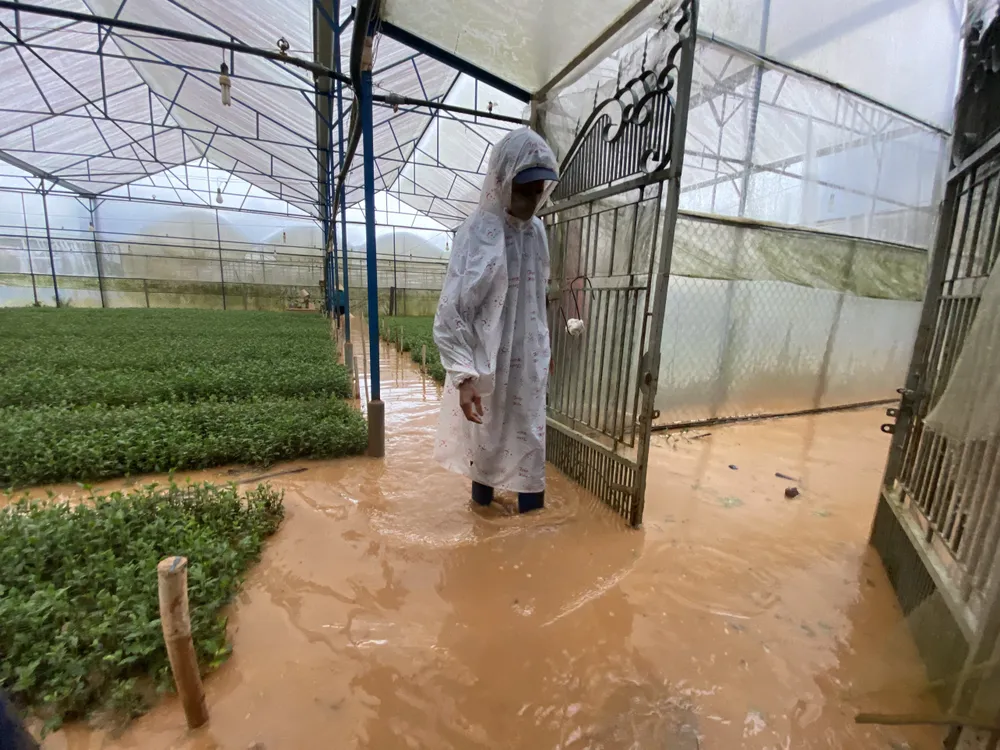 Mưa lớn gây ngập cục bộ hàng chục nhà dân ở Đà Lạt ảnh 2