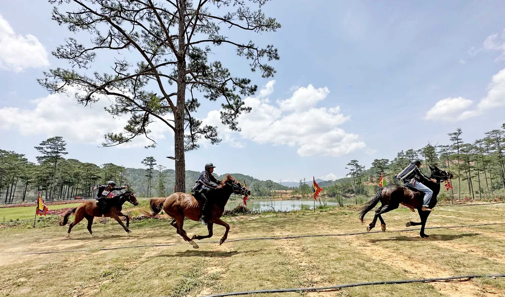 Quyết liệt tranh tài. Ảnh: ĐOÀN KIÊN Quyết liệt tranh tài. Ảnh: ĐOÀN KIÊN