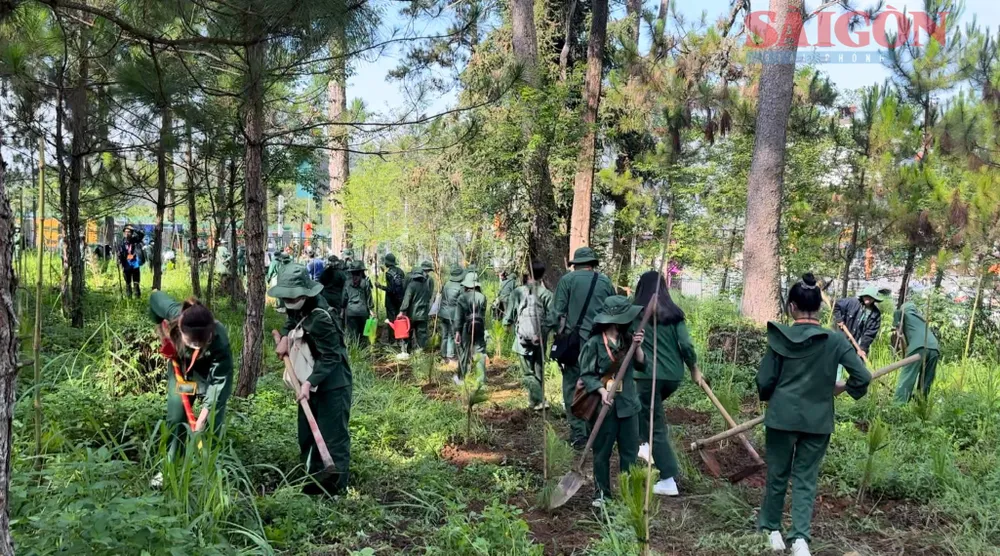 Đông đảo sinh viên Trường Đại học Đà Lạt tham gia hưởng ứng &quot;Tết trồng cây&quot;. Ảnh: ĐOÀN KIÊN