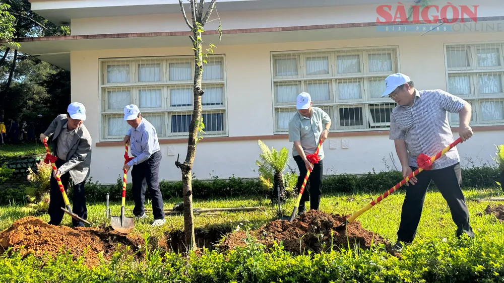 Tại buổi lễ, có 530 cây mai anh đào được trồng trong khuôn viên Trường Đại học Đà Lạt. Ảnh: ĐOÀN KIÊN