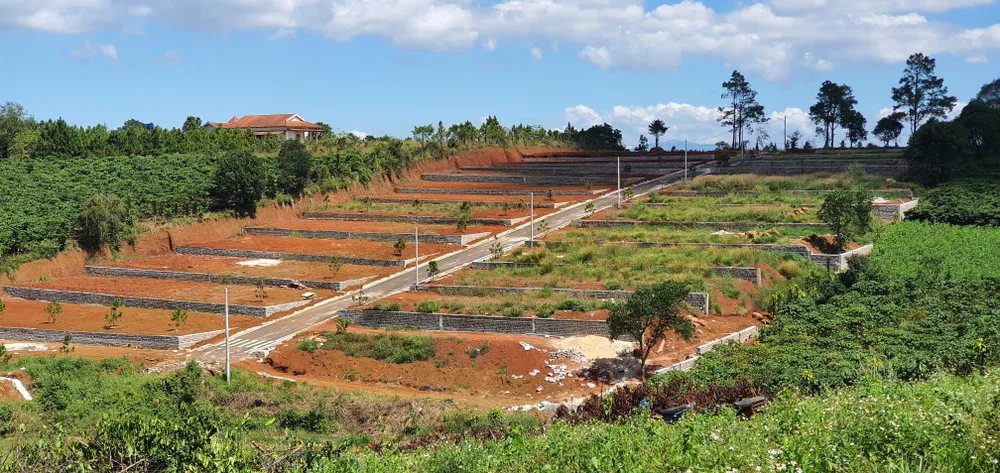 Tỉnh Lâm Đồng chỉ đạo xây dựng hướng dẫn thay thế về tách, hợp thửa, hoàn thành trước ngày 25-6-2023. Ảnh: ĐOÀN KIÊN Tỉnh Lâm Đồng chỉ đạo xây dựng hướng dẫn thay thế về tách, hợp thửa, hoàn thành trước ngày 25-6-2023. Ảnh: ĐOÀN KIÊN