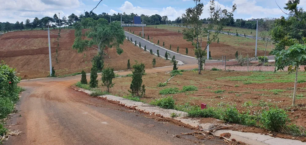 Một khu đất tại TP Bảo Lộc được người dân làm đường để phân lô. Ảnh: ĐOÀN KIÊN Một khu đất tại TP Bảo Lộc được người dân làm đường để phân lô. Ảnh: ĐOÀN KIÊN