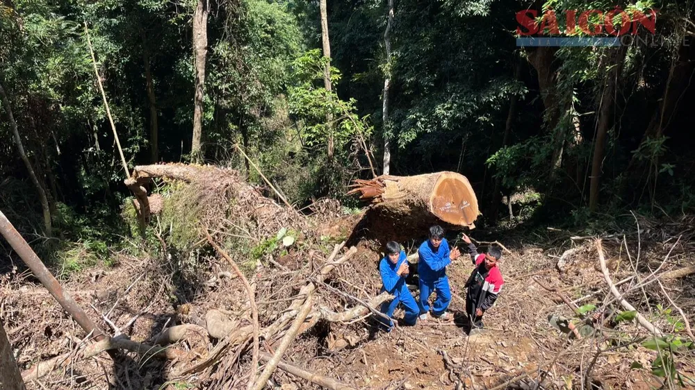 Các đối tượng được đưa tới hiện trường vụ phá rừng để phục vụ điều tra Các đối tượng được đưa tới hiện trường vụ phá rừng để phục vụ điều tra