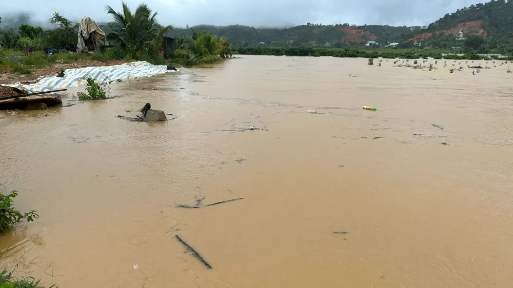 Nước suối dâng cao gây ngập vườn sản xuất của người dân trên địa bàn TP Bảo Lộc