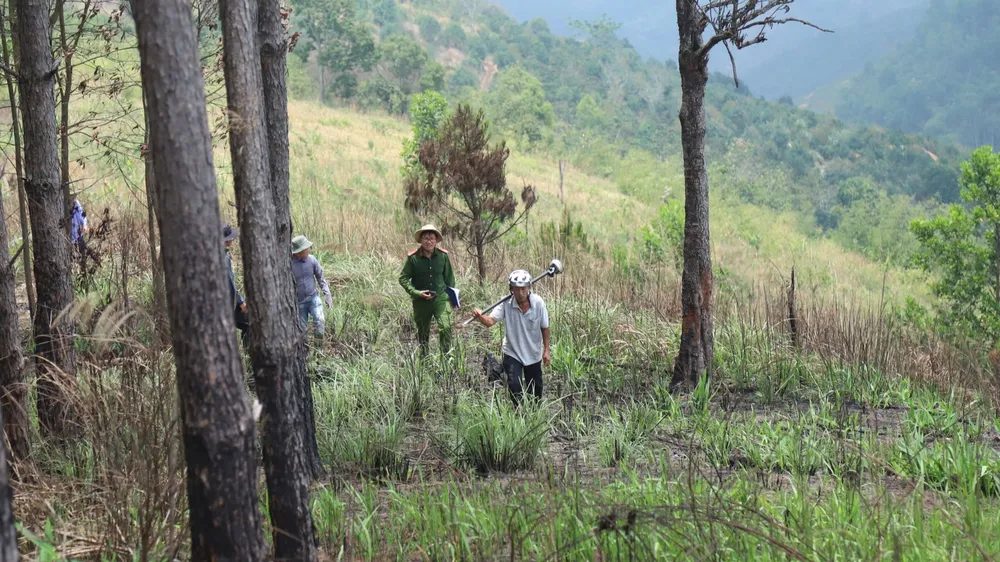 Cơ quan chức năng khám nghiệm hiện trường khu vực giao khoán rừng tại huyện Bảo Lâm