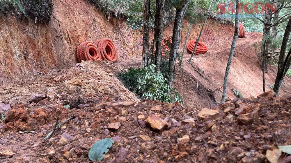 Khu vực rộng lớn rừng bị tác động. Ảnh: ĐOÀN KIÊN Khu vực rộng lớn rừng bị tác động. Ảnh: ĐOÀN KIÊN