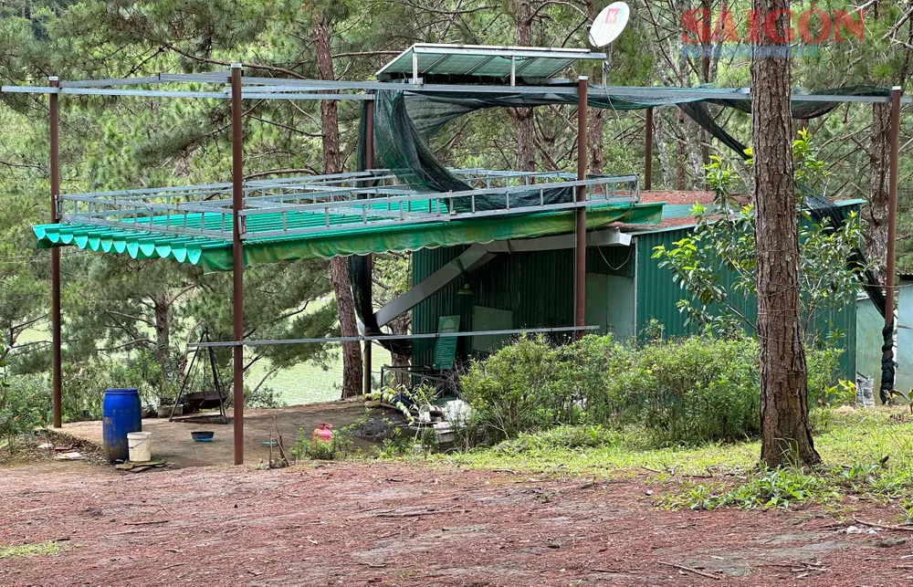 Phía cuối đường dẫn còn "mọc" lên khu cắm trại trái phép ngay cạnh mặt nước hồ Tuyền Lâm. Ảnh: ĐOÀN KIÊN Phía cuối đường dẫn còn "mọc" lên khu cắm trại trái phép ngay cạnh mặt nước hồ Tuyền Lâm. Ảnh: ĐOÀN KIÊN