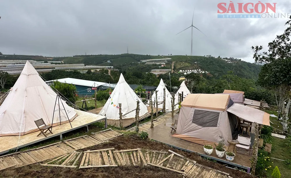 Khu cắm trại “tạm bợ” phục vụ du khách đi ngắm mây tại đồi chè Cầu Đất, TP Đà Lạt. Ảnh: ĐOÀN KIÊN