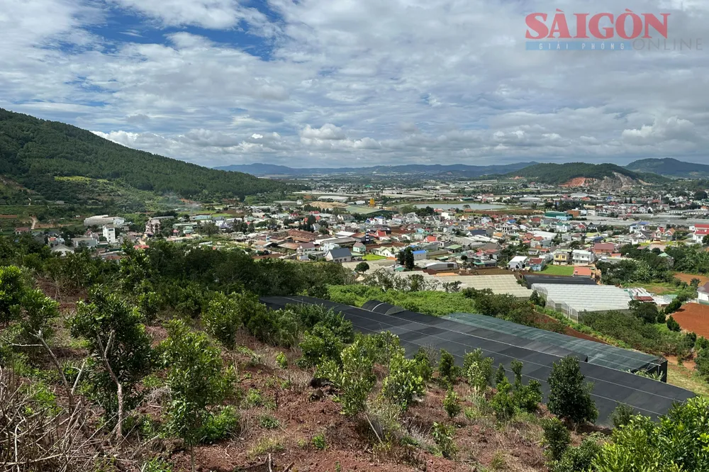 Khu vực bố trí tái định canh cách khu vực sản xuất cũ khoảng 7km và gần khu vực người dân đang canh tác nông nghiệp. Ảnh: ĐOÀN KIÊN