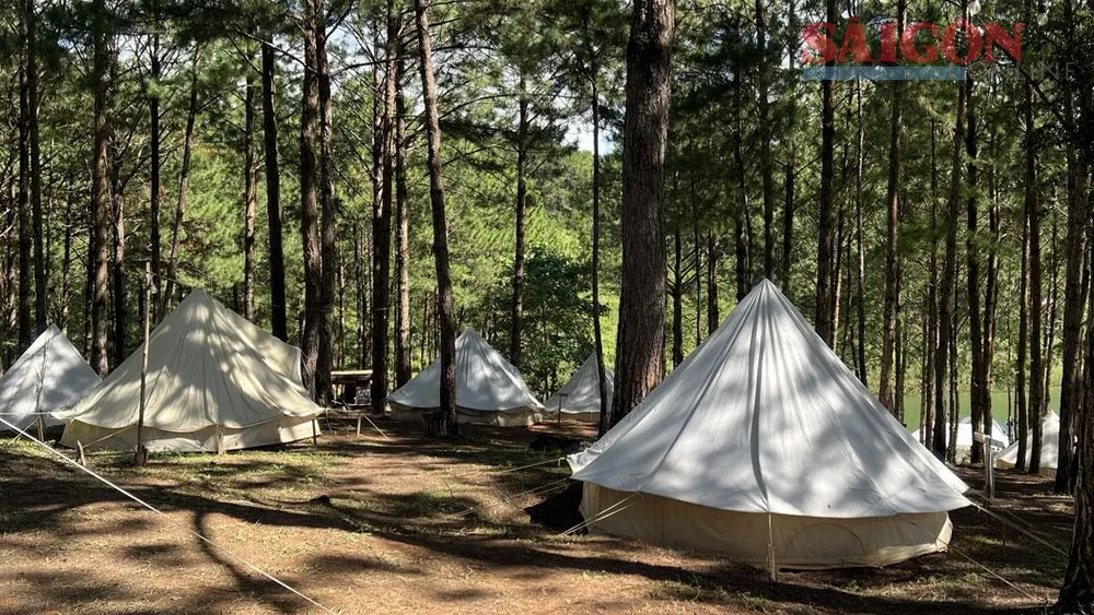 Hàng chục lều trại được hình thành trái phép dưới tán rừng thông