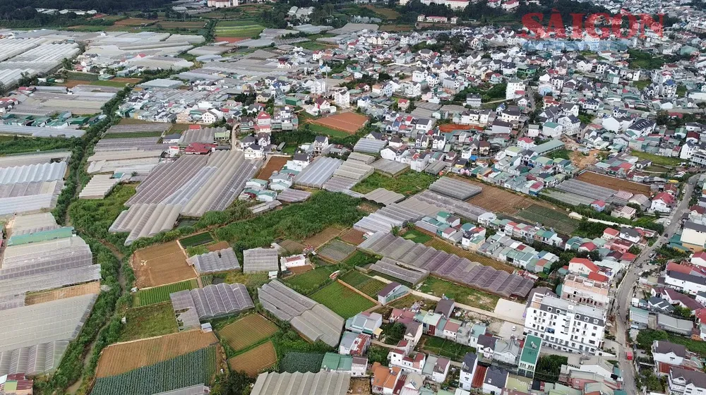 Khu vực đề xuất khu dân cư phía thượng nguồn hồ Xuân Hương. Ảnh: ĐOÀN KIÊN