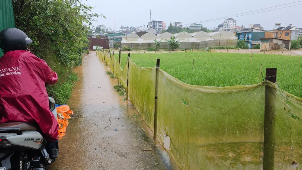 Nước dâng cao gây ngập đường khiến người dân không thể di chuyển 114fd3a4e313404d1902.jpg