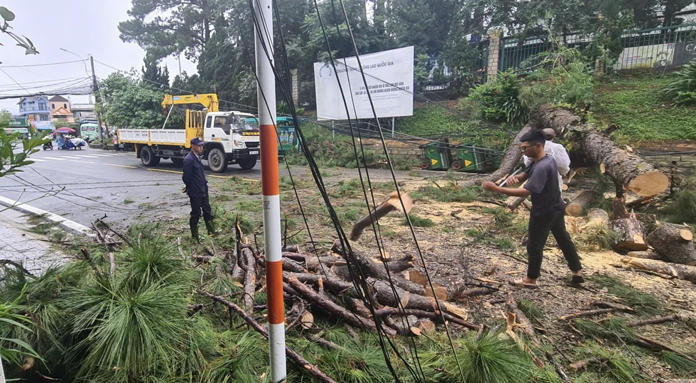 Cơ quan chức năng xử lý thông ngã đổ, giải phóng hiện trường để các phương tiện có thể lưu thông Ảnh màn hình 2024-09-07 lúc 17.35.01.png