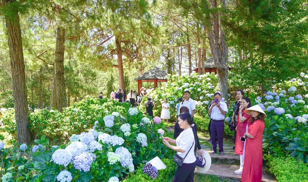 Với thời tiết mát mẻ, Đà Lạt là điểm đến ưa thích của nhiều du khách trong kỳ nghỉ lễ năm nay. Ảnh: ĐOÀN KIÊN 1-39 (2).jpg