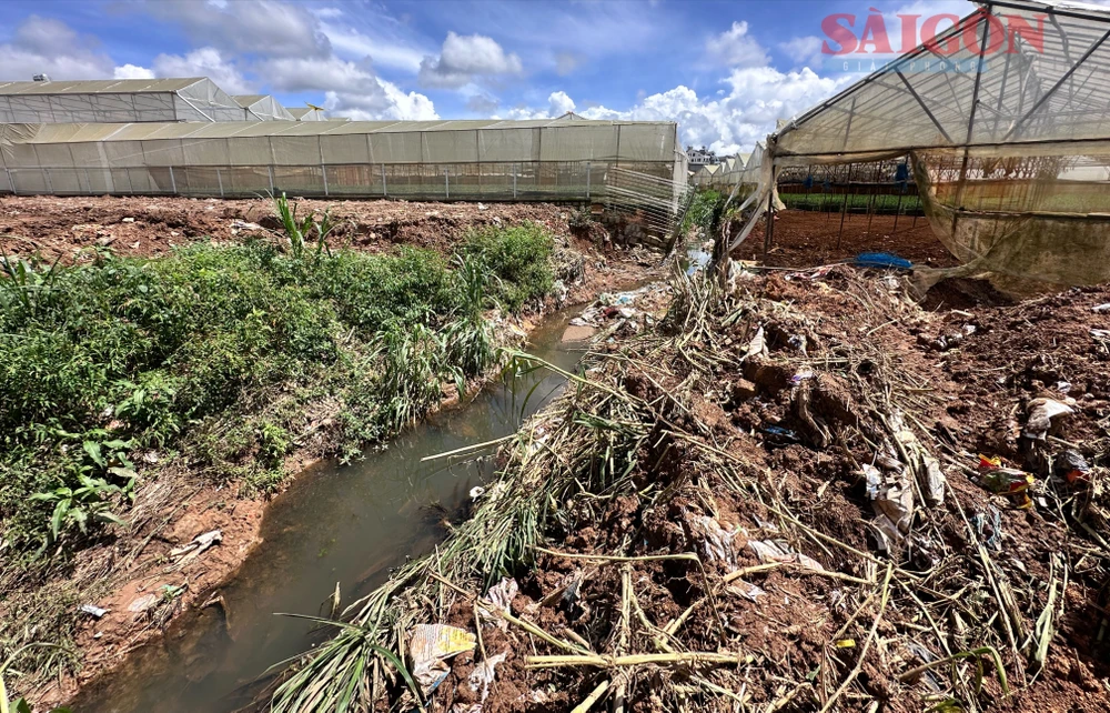 Khu vực sản xuất của người dân phía thượng nguồn nhiều lần bị nước dâng ngập do hành lang thoát nước không kịp tiêu thoát khi mưa lớn. Ảnh: ĐOÀN KIÊN IMG_0602.JPG