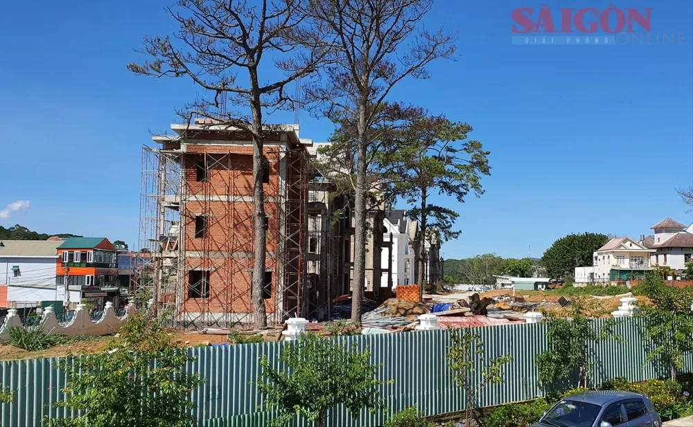 Các biệt thự được xây dựng thời điểm tháng 4-2021. Ảnh: ĐOÀN KIÊN 4cd359d11956ad08f447.jpg