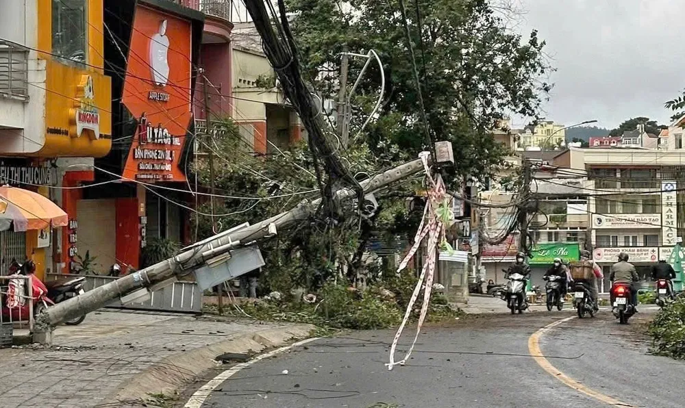Các cây xanh ngã đổ trên đường Nguyễn Văn Trỗi, TP Đà Lạt 506056473_1239253588207456_8911981904374774786_n.jpg