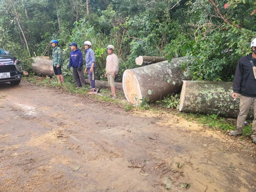 Đến khoảng 17 giờ 30 phút, hiện trường đã được giải phóng IMG_4206.jpeg