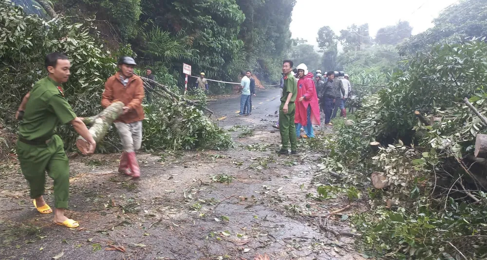Lực lượng chức năng phối hợp với người dân giải phóng hiện trường vị trí cây rừng ngã đổ ra Quốc lộ 27 IMG_4546.jpeg