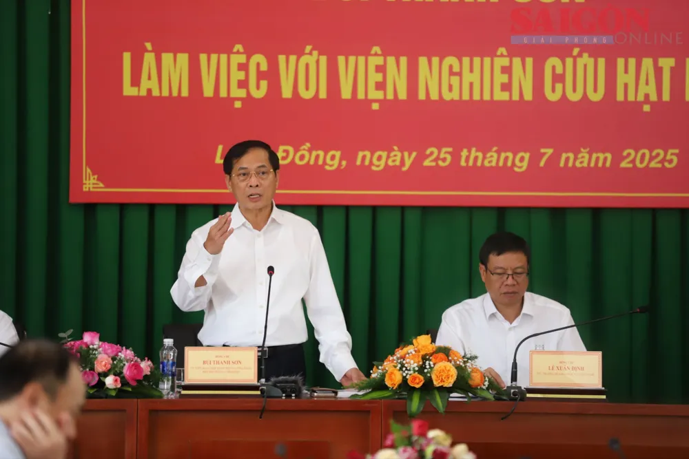 ឧបនាយករដ្ឋមន្ត្រី Bui Thanh Son ថ្លែងមតិក្នុងកិច្ចប្រជុំ។ រូបថត៖ DOAN KIEN IMG_2516.JPG
