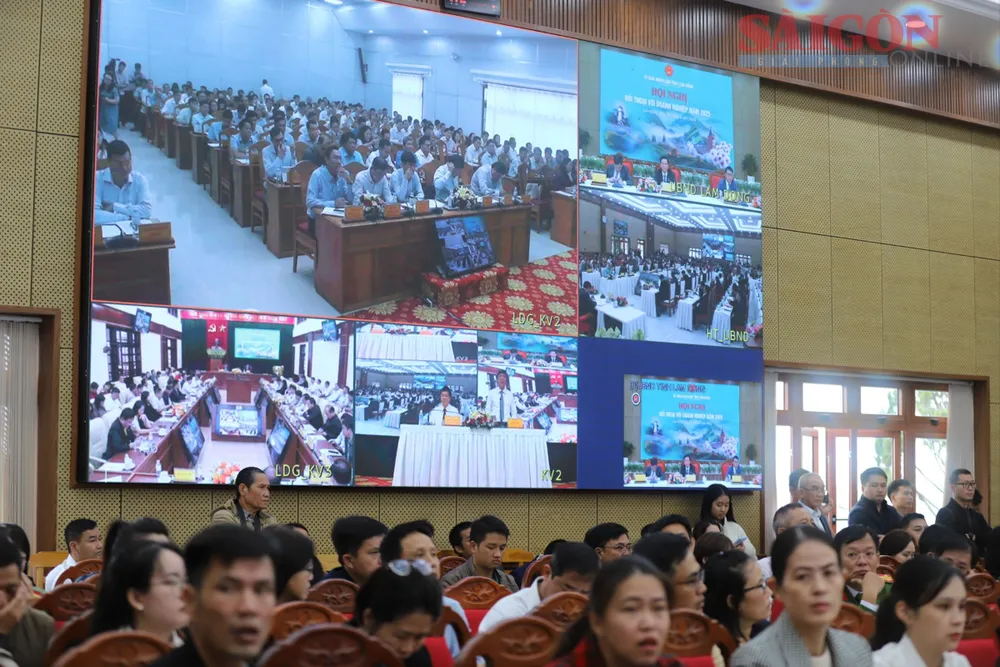 Hội nghị kết nối trực tuyến đến 2 điểm cầu Gia Nghĩa và Phan Thiết. Ảnh: ĐOÀN KIÊN IMG_3930.JPG