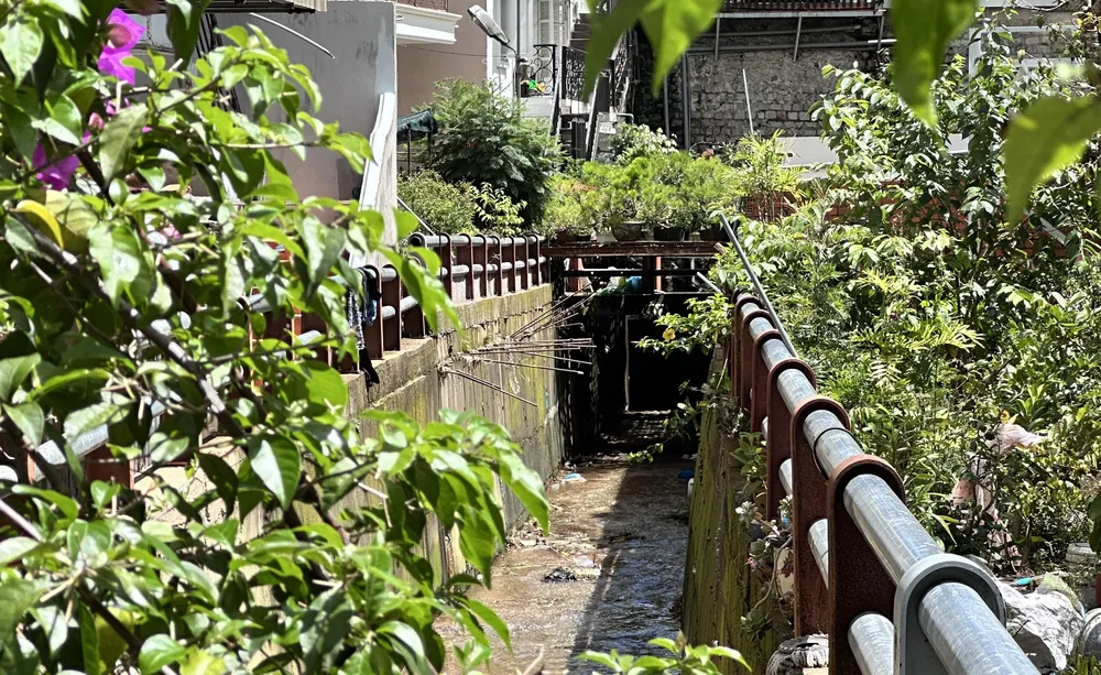 Những dòng suối ở Đà Lạt đang bị “bóp nghẹt” ảnh 22 IMG_7481.JPG