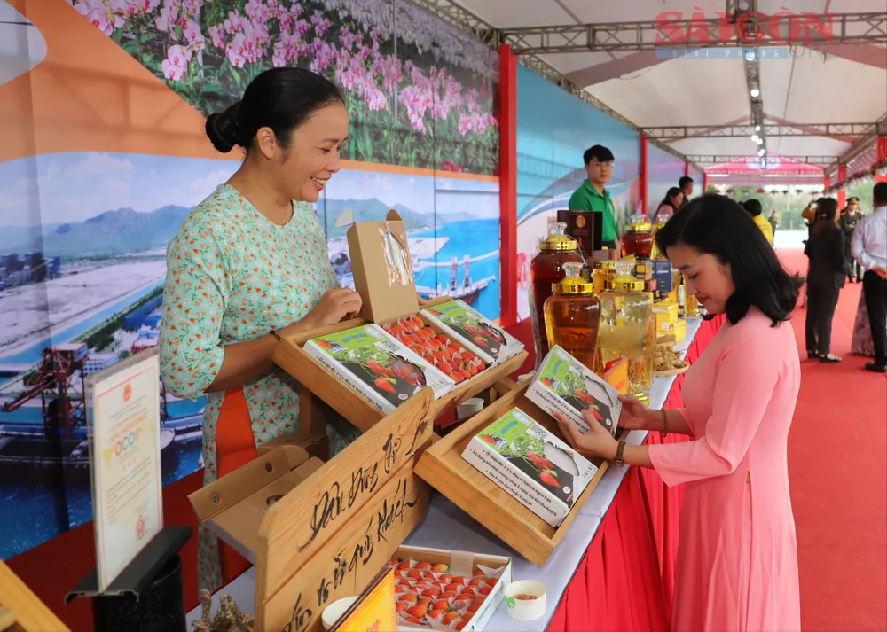 Các sản phẩm nông nghiệp công nghệ cao là thế mạnh của tỉnh Lâm Đồng trong những năm qua. Ảnh: ĐOÀN KIÊN IMG_5333.JPG