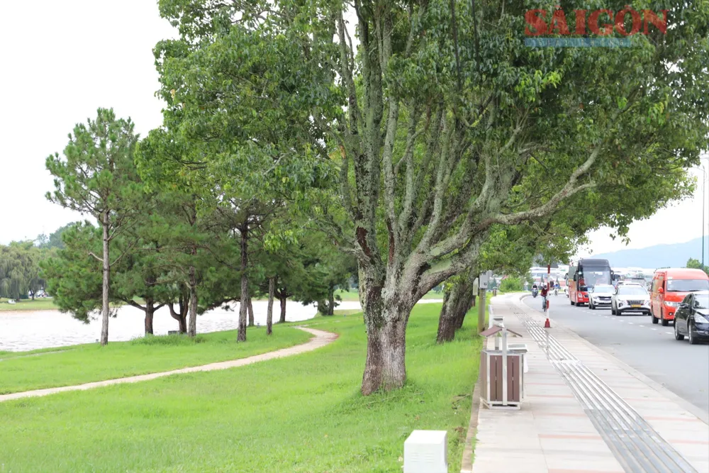Khung cảnh thơ mộng bên bờ hồ Xuân Hương (phường Xuân Hương - Đà Lạt, tỉnh Lâm Đồng). Ảnh: ĐOÀN KIÊN d17f02aa12d09f8ec6c1.jpg