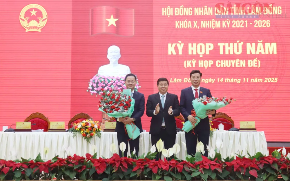 1905608840316176861 copy.jpg