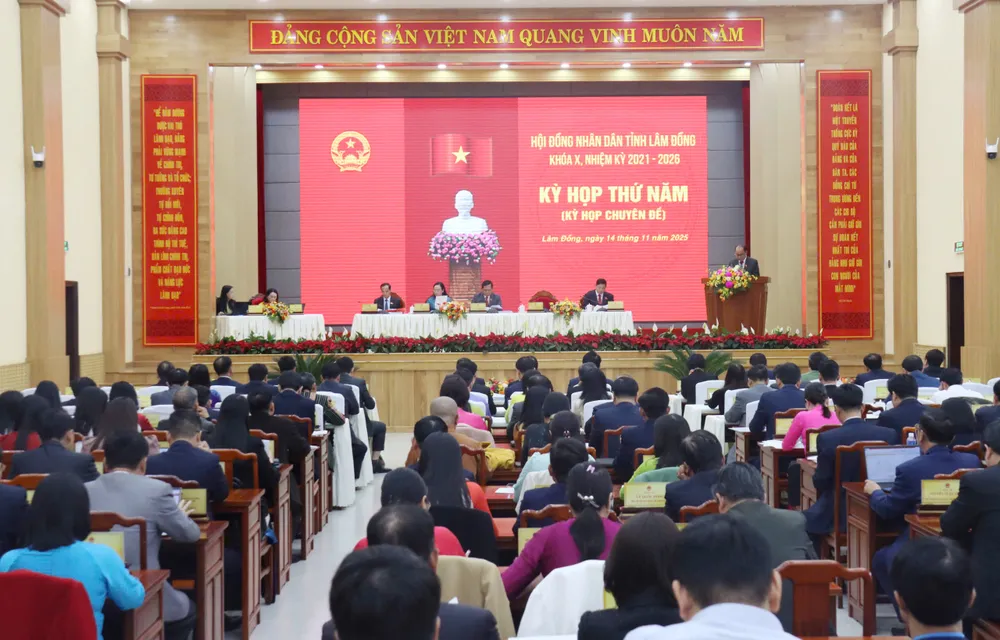 6e30c00eedca619438db copy.jpg