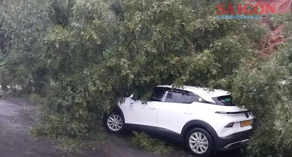 Screenshot 2025-11-19 at 16.29.23.png