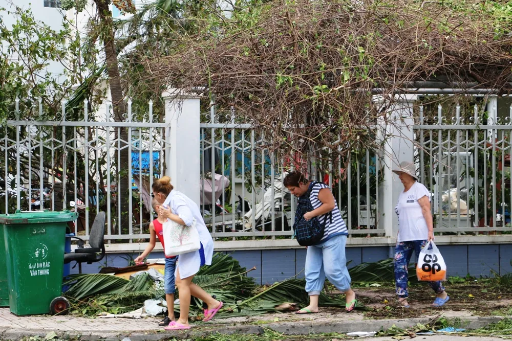 Bão số 12 phá tan mảng xanh Nha Trang ảnh 5