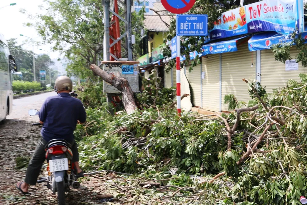 Bão số 12 phá tan mảng xanh Nha Trang ảnh 9