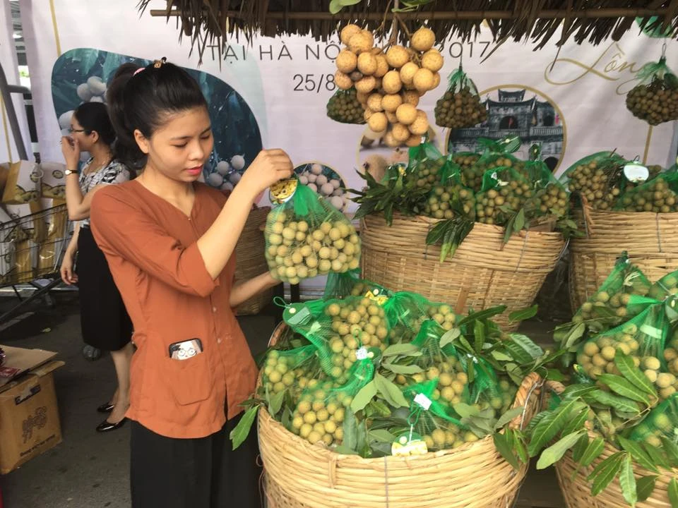 Sản phẩm nhãn lồng Hưng Yên do các HTX trồng được giới thiệu tại tuần lễ nhãn lồng Hưng Yên ở Hà Nội sáng 25-8