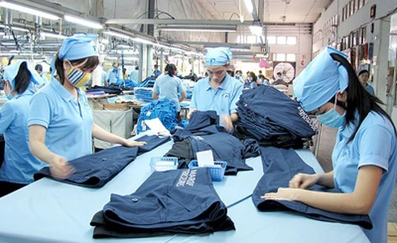 15.000 người đóng bảo hiểm, chỉ vài người có lương hưu ảnh 2 15.000 người đóng bảo hiểm, chỉ vài người có lương hưu ảnh 2