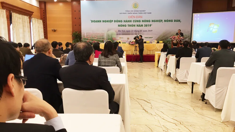 Thu hút thêm 80.000-100.000 doanh nghiệp đầu tư vào nông nghiệp ảnh 1