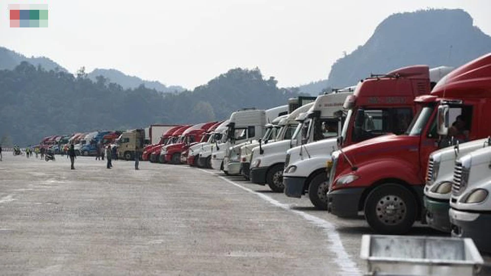 Hàng dài xe container chở nông sản ùn ứ tại cửa khẩu Tân Thanh. Ảnh minh họa: VOV