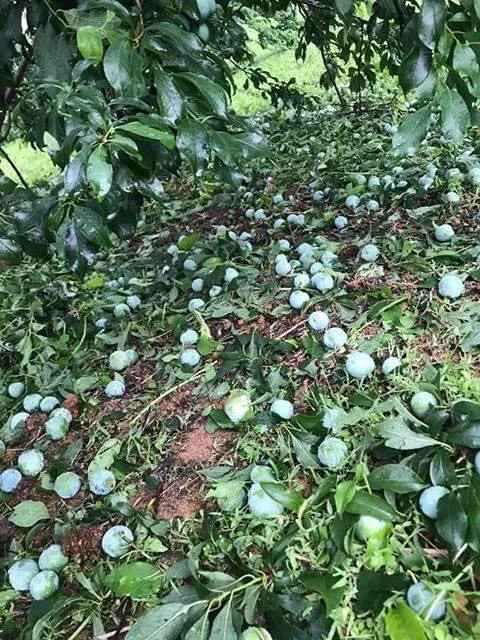 Cuối tháng 4 mà vẫn rét đậm ảnh 3