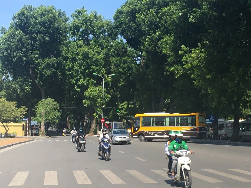 Trồng thêm nhiều cây xanh là giải pháp hữu hiệu, là hành động quan trọng để đảm bảo phát triển bền vững kinh tế - xã hội và môi trường của đất nước