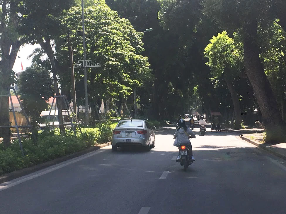 Vì sao Chính phủ muốn trồng 1 tỷ cây xanh? ảnh 1 Vì sao Chính phủ muốn trồng 1 tỷ cây xanh? ảnh 1
