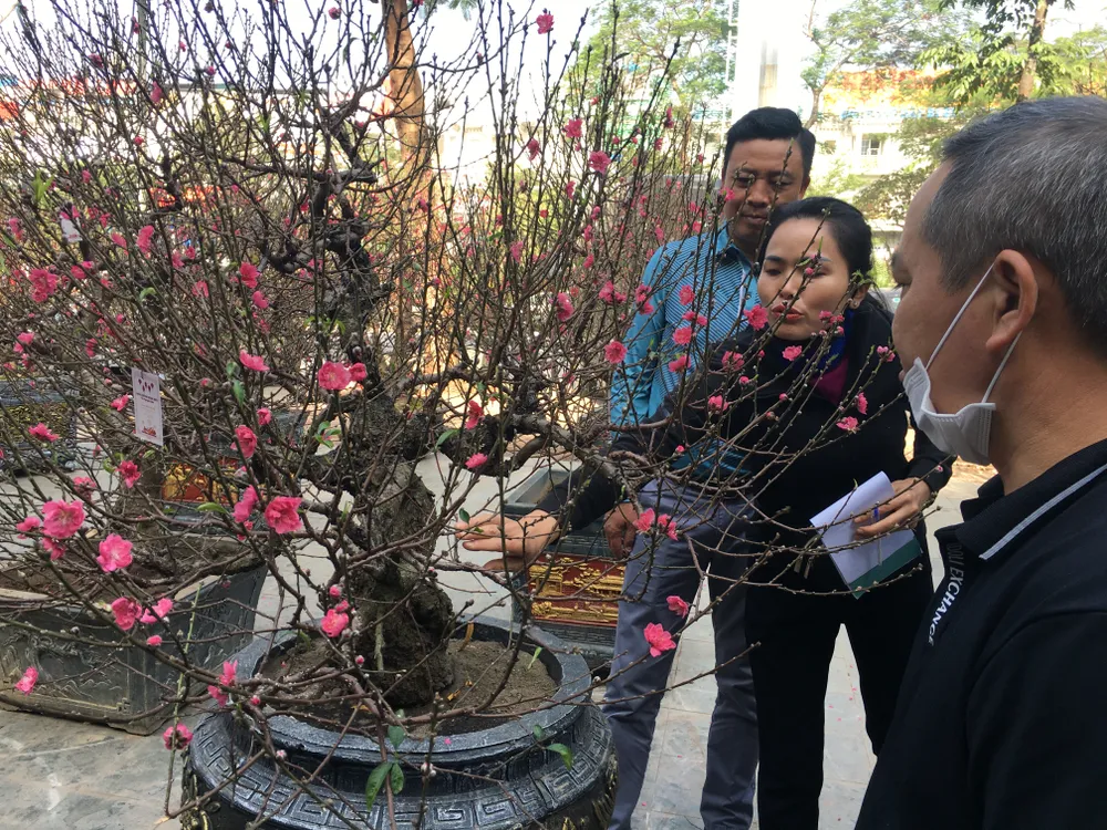 Người dân Hà Nội đi mua sắm đào chơi tết