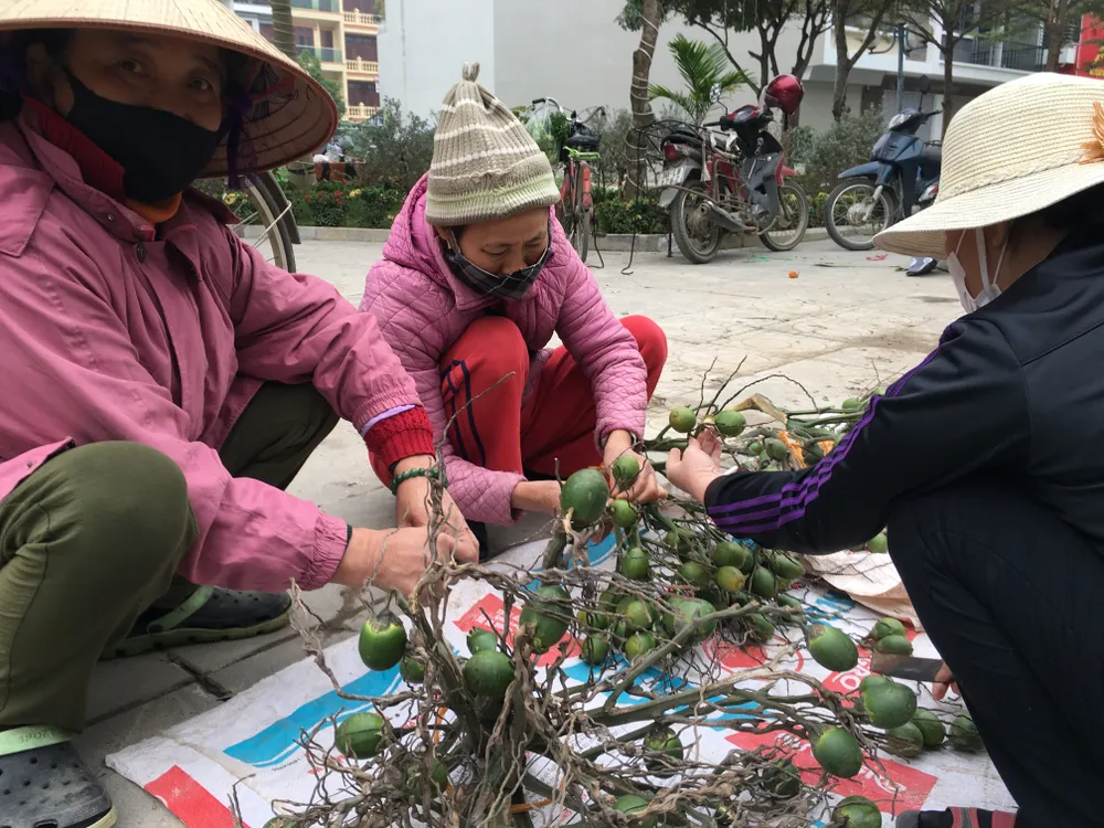 Người dân mua bán trầu cau đi lễ, trao đổi giá cả tại các chợ quê ở ngoại thành Hà Nội. Ảnh: VĂN PHÚC Người dân mua bán trầu cau đi lễ, trao đổi giá cả tại các chợ quê ở ngoại thành Hà Nội. Ảnh: VĂN PHÚC