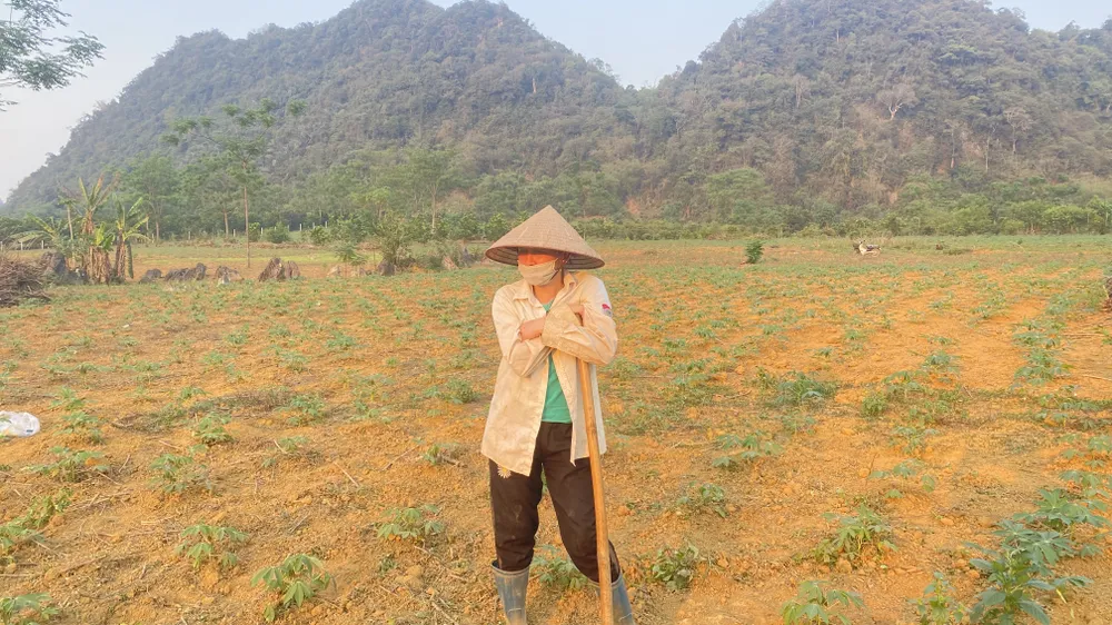 Cánh đồng khô khát không giọt nước, suối cạn khô ở Thung Rếch. Ảnh: VĂN PHÚC Cánh đồng khô khát không giọt nước, suối cạn khô ở Thung Rếch. Ảnh: VĂN PHÚC