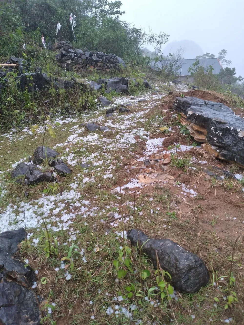 Mưa đá trên diện rộng tại Cao Bằng Mưa đá trên diện rộng tại Cao Bằng