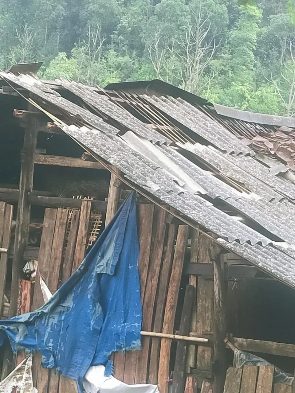 Mái nhà lợp fibroximang bị mưa đá đánh thủng Mái nhà lợp fibroximang bị mưa đá đánh thủng