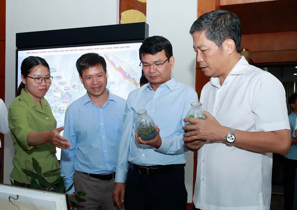 Đồng chí Trần Tuấn Anh tham quan một số mô hình sản xuất sản phẩm OCOP từ rừng Đồng chí Trần Tuấn Anh tham quan một số mô hình sản xuất sản phẩm OCOP từ rừng