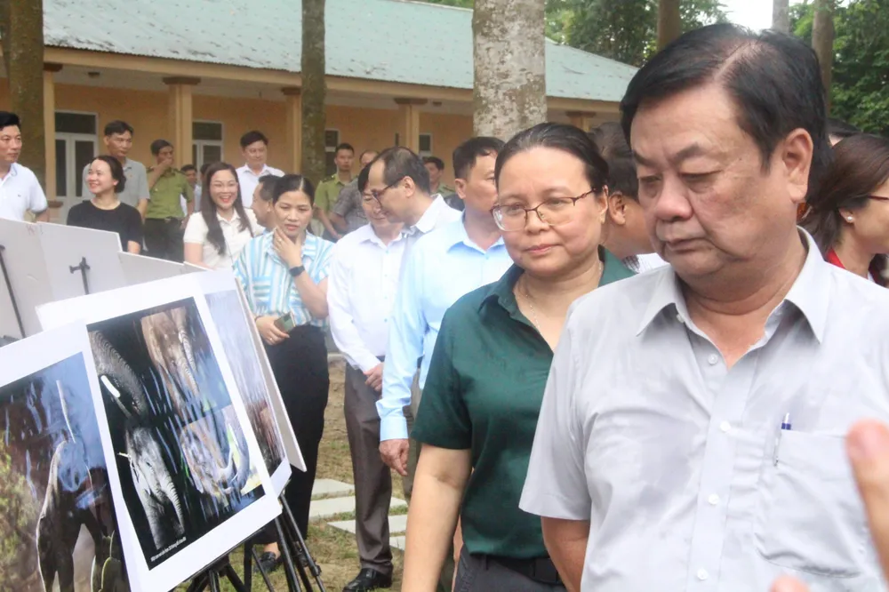 Bộ trưởng Lê Minh Hoan xem các sản phẩm tuyên truyền hướng tới chung sống hài hòa với loài voi Bộ trưởng Lê Minh Hoan xem các sản phẩm tuyên truyền hướng tới chung sống hài hòa với loài voi